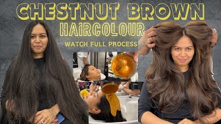 Chestnut 🌰 brown ashhaircolor colour hairstyle education [upl. by Duarte]