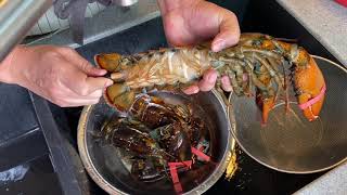 Do This Critical Step Before Cooking Lobsters How to Clean Prep Cut Crack Boston Lobsters [upl. by Lahcar]