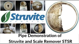 Struvite Remover Chemical and Scale Remover STSR use for Struvite Removal from Pipe Demo [upl. by Dulciana788]