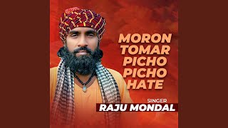 Moron Tomer Pichu Pichu Hate [upl. by Gold450]