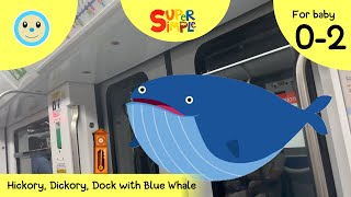 Hickory Dickory Dock with Blue Whale 🕰️🐟🦐🐙🐢🦈🐋  Super Simple Songs  Nursery Rhyme for Baby 02 👶🏻 [upl. by Sykleb]