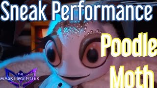 Sneak Performance of the Poodle Moth  The Masked Singer Season 11 Ep 5 [upl. by Christoper]