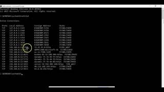 Viewing Active Ports with NETSTAT  COMPTIA Security sy0601 [upl. by Vogele]