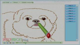 How to draw Pekingese DOG  drawing tutorial video [upl. by Wolf772]