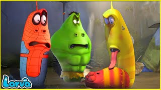 LARVA  EMERGENCY  CARTOON MOVIE FOR LIFE THE BEST OF CARTOON  HILARIOUS CARTOON COMPILATION [upl. by Anayi625]