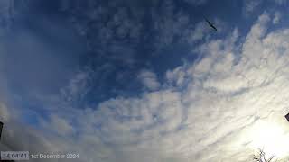 Daytime Sky Time Lapse 1st December 2024 [upl. by Manthei]