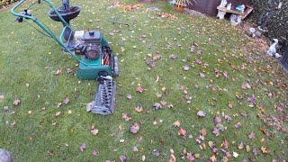 Using the scarifyinglawn rake cassette to collect leaves on the lawn [upl. by Chloras961]