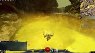 Guild Wars 2 Open Skies The Desolation collection  Warmed Canyon Griffon Egg [upl. by Nemra492]