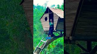 This woman built a house in a treebuilt viralvideo shorts [upl. by Aneelad987]