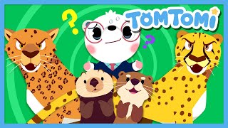 Similar but Different Animals⁉  Guess whos who🤔  Animal Name Quiz  Kids Song  TOMTOMI [upl. by Alejo]