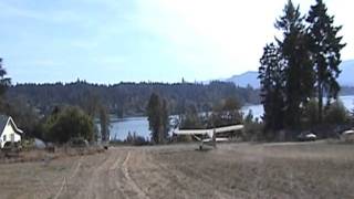 Stinson 1083 Flies Through Trees on Takeoffwmv [upl. by Carlos]