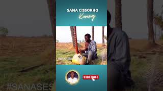 koring  sana cissokho 🎶 sanacissokho sanacissokhomusic sanacissokhokora [upl. by Cathyleen560]