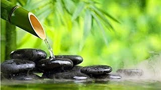 Evening Meditation Relaxing Music Background for Yoga Massage Spa [upl. by Fleischer]