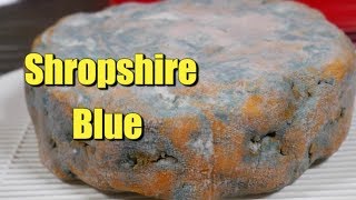 How to Make Shropshire Blue [upl. by Howlond]