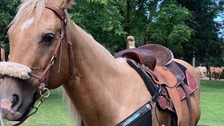 saddling up routine￼ [upl. by Randall]