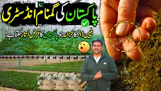 Powerful Billion Dollar Industry  Fruits amp Vegetables Seeds Production  Kissan Ka Pakistan [upl. by Eilagam]