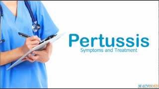 Pertussis Symptoms and Treatment [upl. by Ullyot387]