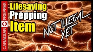 Get This Prep Before its Illegal FishMox Antibiotics Canadian Prepper [upl. by Hephzipa]