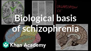 Biological basis of schizophrenia  Behavior  MCAT  Khan Academy [upl. by Jezebel]