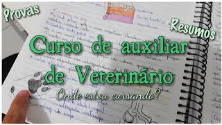 Estou fazendo um curso online de Auxiliar de Veterinário🐾  onde faço resumos prova [upl. by Aillicec]