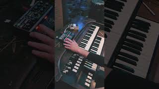 Boss RE202 Space Echo on Organ  Creative Sounds [upl. by Aihtela754]