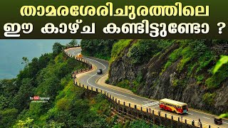 താമരശേരിചുരത്തിലെ ഈ കാഴ്ച കണ്ടിട്ടുണ്ടോ   Fantastic view of Thamarassery Churam  Wayanad Kerala [upl. by Chow]