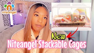 Reviewing Niteangel NEW STACKABLE Hamster Cages [upl. by Eppilihp]