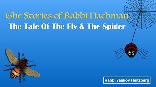 Rebbe Nachmans Stories  The Fly amp The Spider  Rabbi Yaakov Hertzberg [upl. by Earas]