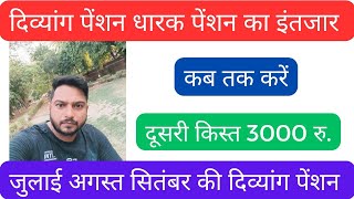 दिव्यांग पेंशन धारक पेंशन का इंतजार कब तक करें।। दिव्यांग पेंशन कब तक आएगी। kuldipkumarsteno [upl. by Ellehcrad428]