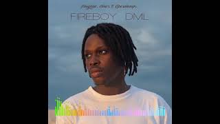 Fireboy DML  Vibration Audio [upl. by Feinleib]