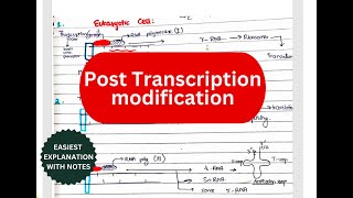 Posttranscriptional modification  Splicing Cap Tail Introns Exons RNA editing [upl. by Aiz]