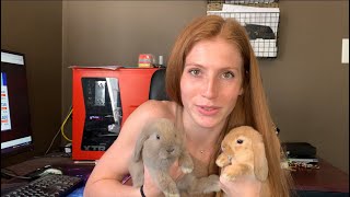 Let’s talk A Little Bit About Mini Lop Bunny Genes [upl. by Annahsed698]