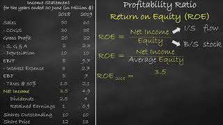 Profitability Ratio  Return on Equity [upl. by Mercuri]