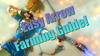 Breath of the Wild Guide  EASY Arrow Farming Guide [upl. by Riaj]