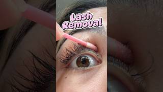 Lash extensions lashextensions lashes lash shortsvideo shortviral shortsfeed shorts short [upl. by Pascasia632]