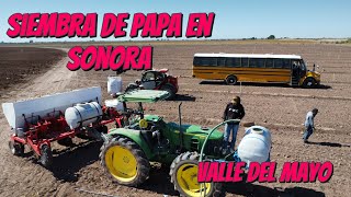 Así se siembra la papa👉🏻 🥔En Sonora🌵💚💚🇲🇽✔️AGROFON👌🏻 fansdestacado Sonora seguidores [upl. by Maurili]