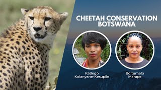 Working With Communities to Protect Botswanas Cheetahs  Wildlife Conservation Expo [upl. by Tarkany712]