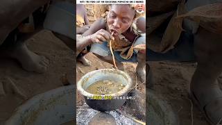 Food is scarce in Uganda so animals boil and eat bird droppings 😱 shortvideo amazingfacts [upl. by Laehcim]