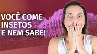 Conheça o CORANTE NATURAL CARMIM e saiba do que ele é feito [upl. by Leen51]