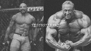 Testosterone edit  Bero 02 [upl. by Rance837]