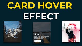 CSS Card Hover Effects  Card Hover Effect using Pure HTML and CSS3 [upl. by Ahseekat]