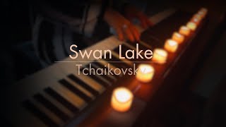 Swan Lake  Tchaikovsky Relaxing Piano Music [upl. by Maurizia]