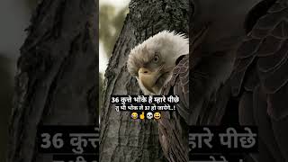 Tochan Full Video  SIDHU MOOSEWALA  BYG BYRD tochansong moosajatt [upl. by Ynohtnacram608]