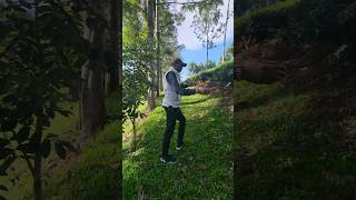 Twin Rivers Resort Tigoni  Nature naturewalk tembeakenya outdoor shortsvideo tiktok [upl. by Mcknight]