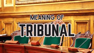 What is the meaning of Tribunal [upl. by Yeslek]