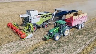 Récupération de menue paille  Claas Lexion 740  Thiérart [upl. by Chloras483]