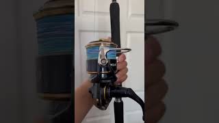 daiwa saltiga 14000 [upl. by Hampton]