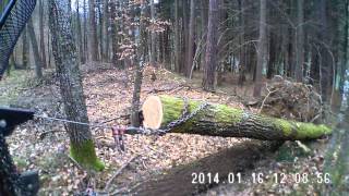 Eiche beiseilen 1 Versuch mit MAGINON ActionCamera [upl. by Eylloh]