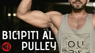 ALLENARE I BICIPITI con il CURL AL PULLEY  usa le maniglie [upl. by Bourgeois]