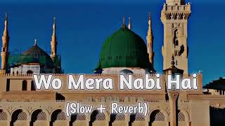 Wo Mera Nabi Hai SlowReverb Naat  Syed Hassan Ullah Hussani  Lofi Naat 2024 [upl. by Yesdnik]